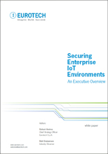 Securing Enterprise IoT Environments - An Executive Overview